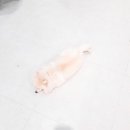 주견야독 이미지