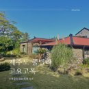 고요고목 돌집감성 풀빌라 스테이 | [제주도] 돌집감성 수영장 있는 풀빌라 :: 300평 숲...있는 제주도 애월읍 에어비앤비 숙소 :: 고요고목