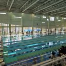 배미수영장 | 배미수영장 어린이 수영 대회 참가 후기 및 준비물