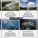 남양체육관 이미지