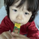 수호홍삼 | 아이 코막힘 환절기 비염에 좋은 장인정신 코프레시 내돈내산 후기