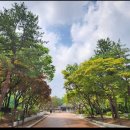 337차역탐 경희궁 서울역사박물관 이미지