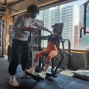 더블유짐 천천푸르지오 14호점 | 천천동pt 5회차 후기 가슴&amp;어깨후면