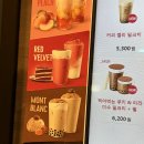 공차신메뉴 공차티라미수스무디 펄추가 궁금해서 먹어봄