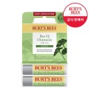 위드큐 이미지