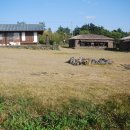 둥구나무민박 이미지