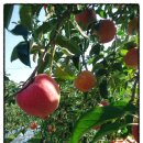 경빈농장 이미지