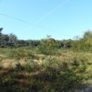 가교1리마을회관 이미지