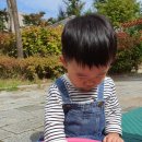 잎새다육