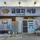 금돼지식당 이미지