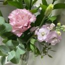 플로라제이 이미지