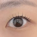 분당-367 | 분당 야탑역 속눈썹펌 맛집 ‘래쉬무아르 분당야탑점’ 재방문후기