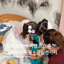 예원키즈 | 상하이 여행 코스 추천: 2일차] 네오비오 키즈카페 &amp; 남상 만두 &amp; 예원 정원 &amp; 황푸강 유람선 야경 후기