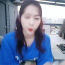 모모일본어 Daum카페