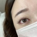 마이엘 네이버블로그