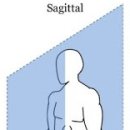 팀타이거짐 13호점 이미지