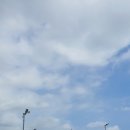 낙천리장 이미지