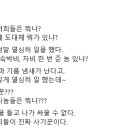 명태균 "나보고 사기꾼? 민의 배신한 너희들이 사기꾼" 이미지