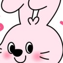 반려악기 우쿨렐레 네이버블로그