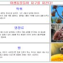 12월 지구살림 ING 이미지
