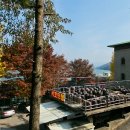 서호식당 이미지