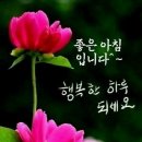 그린골프 이미지