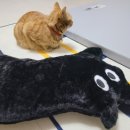 원아워세탁 이미지