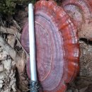 검성로-12 이미지