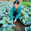 성원축산 이미지