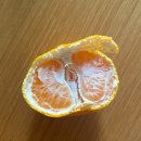 신반시장 | 첫눈까지는 낭만이지만 그후로는 재난이야