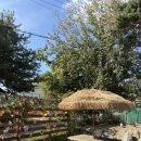 북여주IC화장실 | 여주맛집 여주 제주보말칼국수