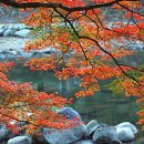 S.K 행정사 이미지