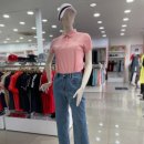 팜스프링스 이미지