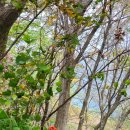 공중화장실(1단계) 이미지