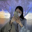 오션블루민박 | 3박 4일 제주도 여행, Day 2