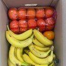 송파 보건지소 이미지