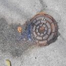 오수동물병원 이미지