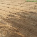 뜨락농장 이미지