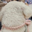 누구나홀딱반한닭(김포고촌점) | 블챌 10.18-10.24