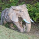 마당목장 이미지