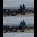 삼일목장 이미지