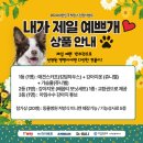 예쁘개 이미지