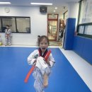 한벌태권도장 이미지