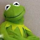 w-11 | ෆ W ) - 11 : 대전 웨딩 BMK 체크리스트 / 시식 후기