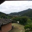 솔나무황토방