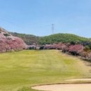 롯데마트 삼산점 이미지