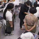 뷰티 앤 도그쇼 이미지