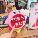 리가 플스방 이미지