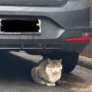 교동면옥 대구유천점 이미지