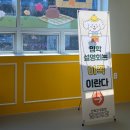 킨더퍼피 | 명지반려견유치원 킨더퍼피 입학설명회 참여 후기